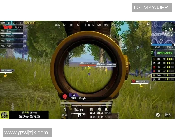 和平精英深度解析：探讨FPX战队成员的个人能力与战术配合