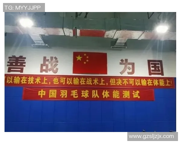 深圳羽毛球队整体压制战术解析与实战应用探讨 深圳羽毛球队整体压制战术解析与实战应用探讨