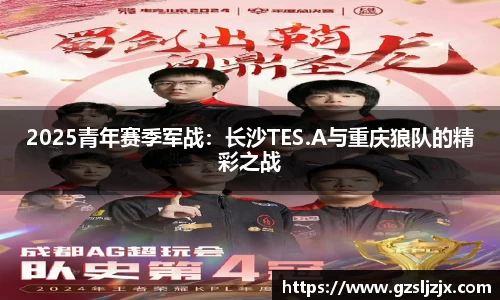 DB视讯官网
