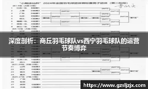 深度剖析：商丘羽毛球队vs西宁羽毛球队的运营节奏博弈